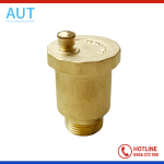 Van xả khí ren đồng DN15 - DN25 Model FIG074