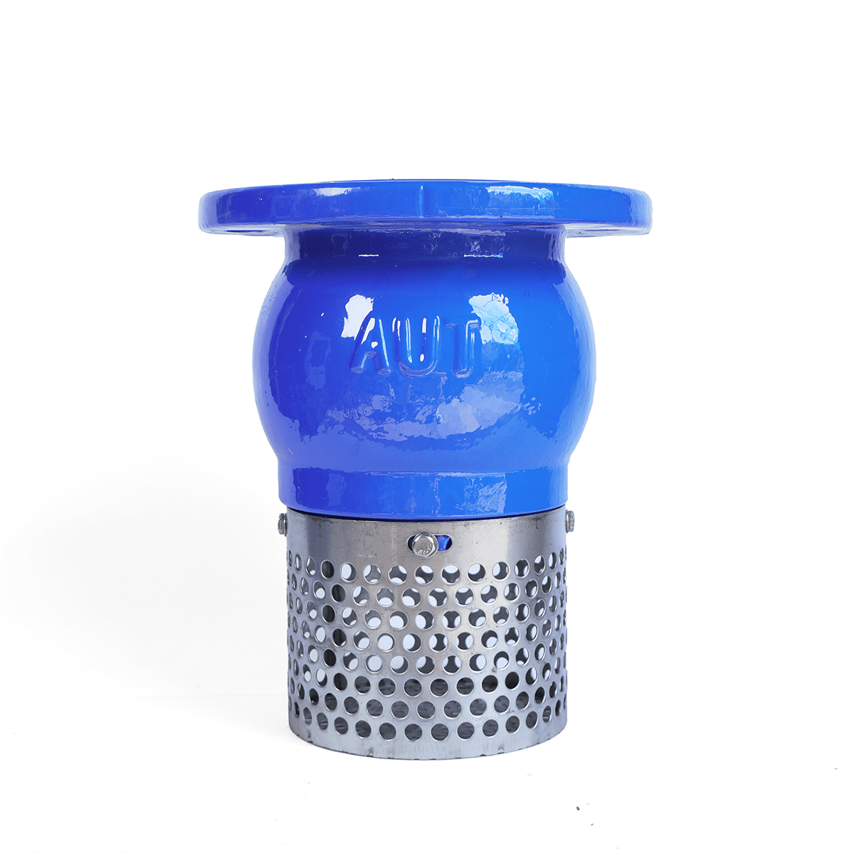 img_0190b-copy_optimized Rọ hút AUT | DN50 – DN300 - Ảnh 1